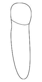 18534634670 - Body: Rear Hose Clip for Honda: CR-V, Pilot Image