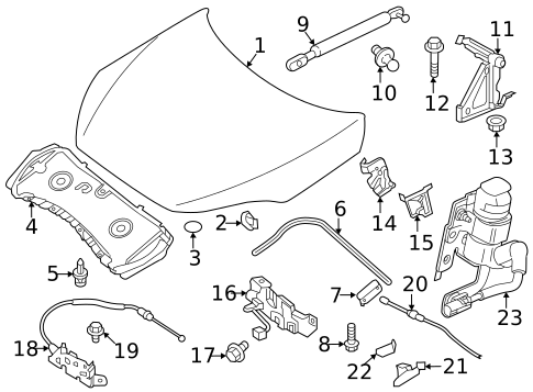 Hood & Components for 2020 INFINITI QX50 #1