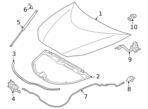Hood & Components for 2019 Toyota Mirai #0
