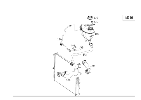Expansion Tank, Mounting and Hoses for 2020 Mercedes-Benz S63 AMG #0