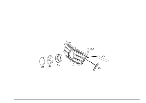 Radiator Grill for 2010 Mercedes-Benz GL550 #0