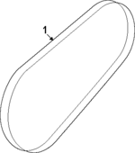 PZ1Z8620G - : Water Pump Belt for Lincoln: Nautilus Image