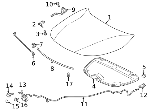 Hood & Components for 2022 Toyota Corolla #1