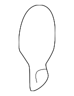 84920AA021 - Electrical: Bulb for Subaru Image