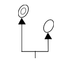 995621000 - Brakes: Brake Hose Gasket for Mazda: 3, 6, CX-3, CX-30, CX-5, CX-50, CX-70, CX-9, CX-90, MX-30 EV, MX-5 Miata Image