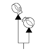 4G0423875 - Emission System: Hose Clamp for Porsche: 911, Boxster, Cayenne, Cayman, Macan Image