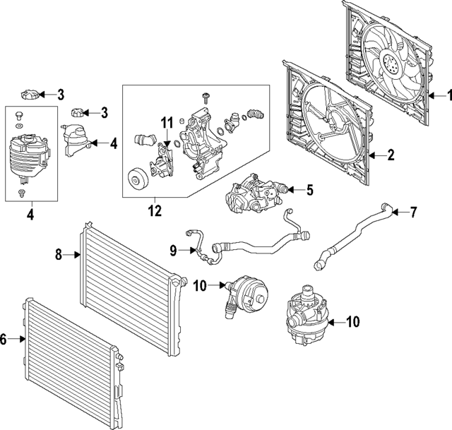 17129485275 - Cooling System: Lower Hose for BMW Image