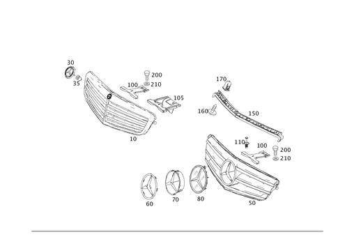 Radiator Grille for 2008 Mercedes-Benz C300 #0