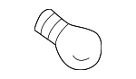 15883346 - Electrical: Tail Lamp Bulb for GM Image