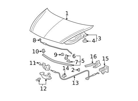 Hood & Components for 2008 Honda Fit #0