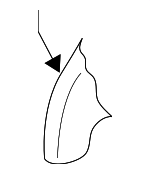 88450D9010 - Body: Seat Back Pad for Kia: Sportage Image