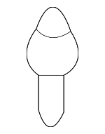 9026904054 - Body: Scoop Fastener for Toyota: 4Runner, Crown Signia, Echo, Grand Highlander, Highlander, Prius C, RAV4, Tacoma Image