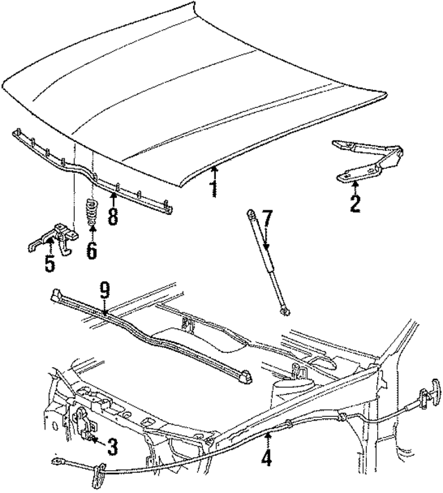 E8DZ16612A - Body: Hood for Ford Image
