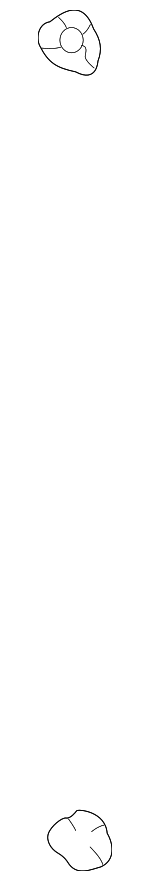 15144442 - Body: Tie Down Hook for GM Image