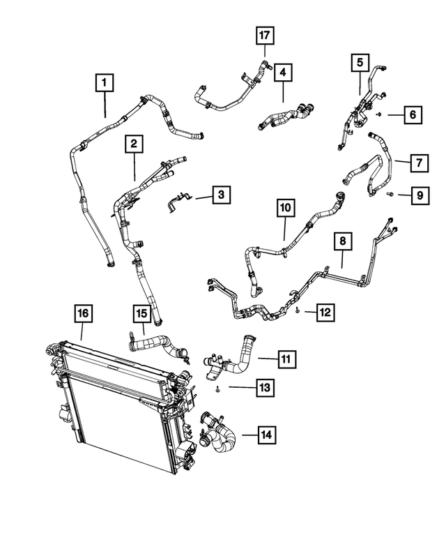 68282210AA - Cooling: Radiator Outlet Hose for Mopar Image