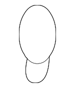 2626189917 - Electrical: Bulb for Nissan Image