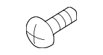 License Bracket Screw