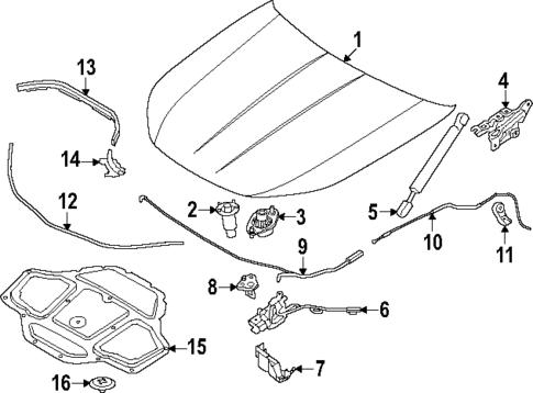Hood & Components for 2024 BMW 750e xDrive #0