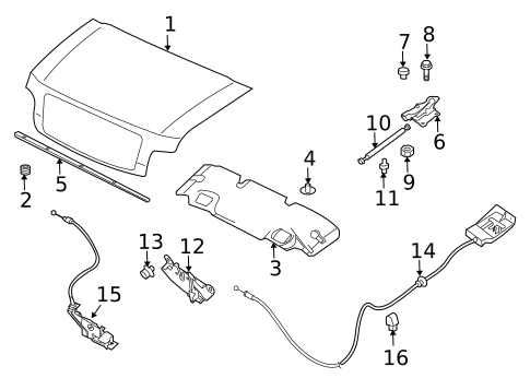 HOOD & COMPONENTS for 2010 INFINITI QX56 #0
