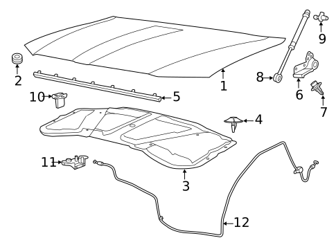 Hood & Components for 2012 Chrysler 300 #0
