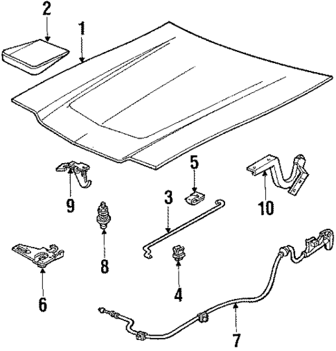 Hood & Components for 1985 Ford Escort #1