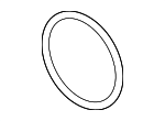 13715A1F9C5 - Engine: Intake Pipe Seal for BMW Image