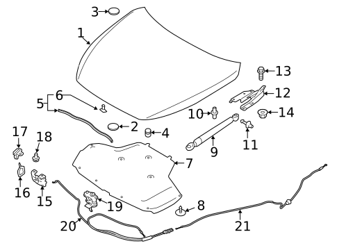 Hood & Components for 2020 INFINITI Q60 #0