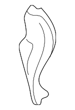 NC1071481B - Body: Corner Panel for Mazda: Miata Image