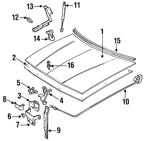 Hood & Components for 1991 Buick Regal #0