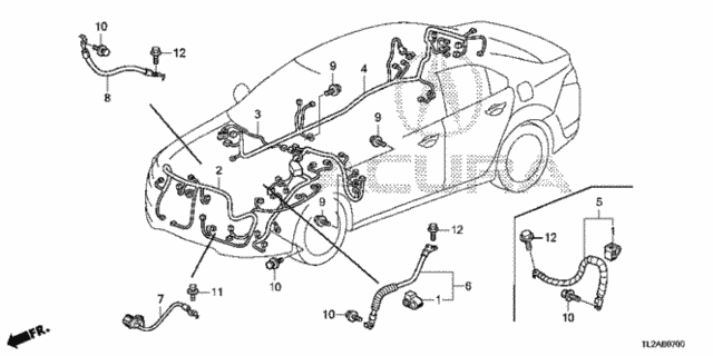 Wire Harness (1) for 2014 Acura TSX #0