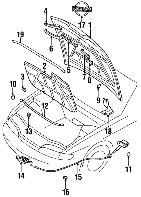 Hood & Components for 1997 Nissan 240SX #0