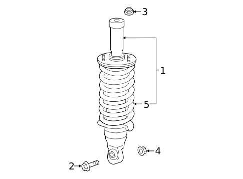 Struts & Components for 2015 INFINITI QX80 #1