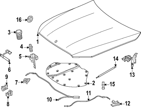 Hood & Components for 2024 Mercedes-Benz E450 #0