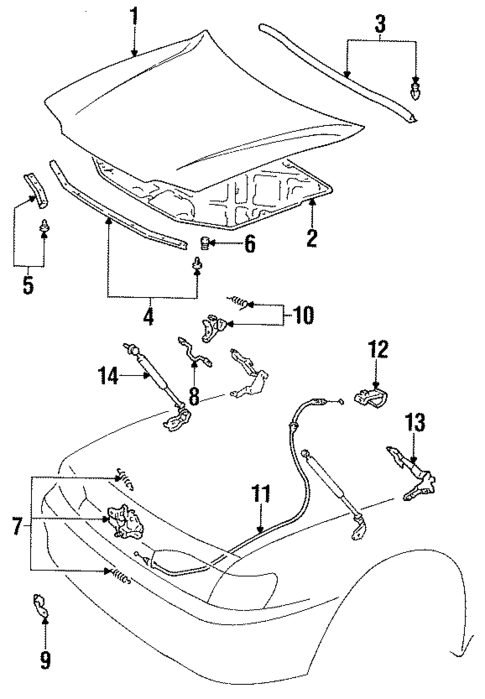 Hood & Components for 1994 Toyota Camry #0