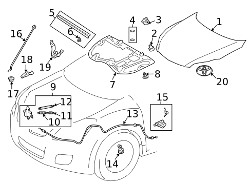 Exterior Trim - Hood for 2009 Toyota Matrix #0
