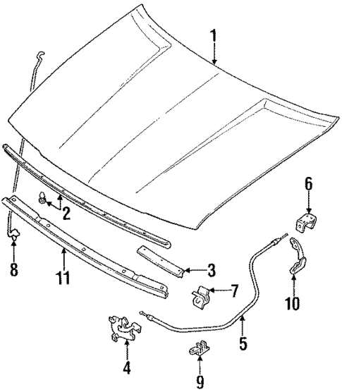 Hood & Components for 1989 Toyota Corolla #0