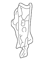 64130S9AA00ZZ - Body: Lower Pillar for Honda: CR-V Image