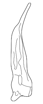 22645625 - Body: Pillar Reinforced for Oldsmobile: Alero | Pontiac: Grand Am Image