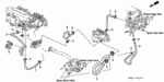 19508P08000 - Engine: HOSE, BYPASS OUTLET for Honda Image