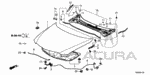 91515SDAA01 - Body/Air Conditioning: CLIP, HOOD LOCK COVER for Acura Image