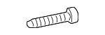 XR86114 - Body: Door Check Screw for Jaguar Image