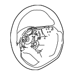 484306LW5A - Steering: Steering Wheel for Nissan: Sentra Image