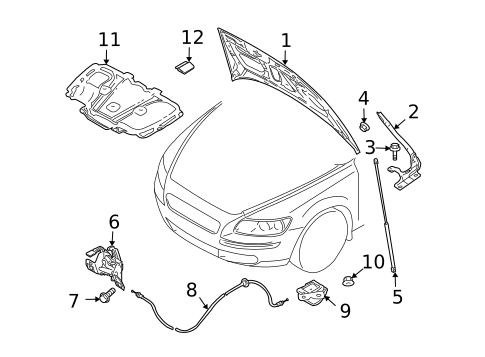 Hood & Components for 2010 Volvo C70 #0