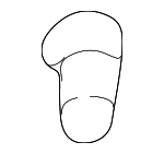 9098112014 - Body: Bulb for Lexus: ES300, IS300, LX450 Image