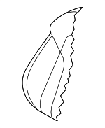 8U0881776G - : Seat Back Pad for Audi Image