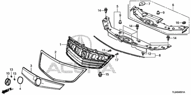 Front Grille (2) for 2011 Acura TSX #0