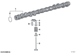 11317576161 - Engine: Camshaft Exhaust for BMW Image