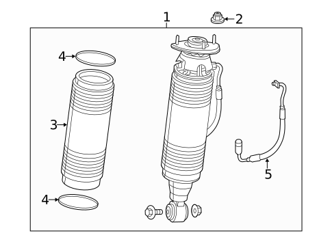 Struts & Components for 2014 Mercedes-Benz SL 65 AMG&reg; #1