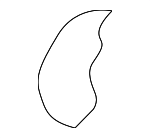 1J0885931B - Body: Headrest Pad for Volkswagen: Golf Image