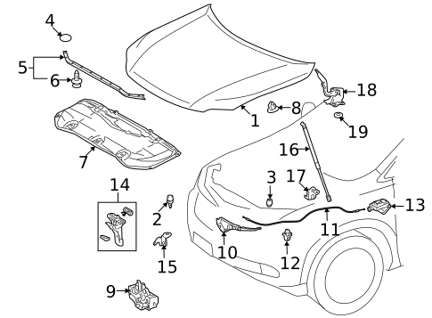 Hood & Components for 2010 Lexus RX450h #0